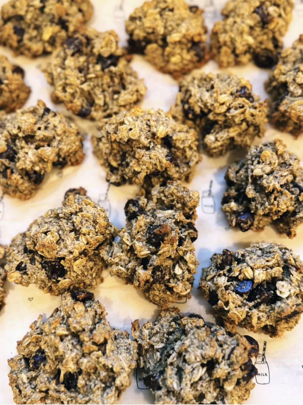 Oatmeal Chocolate Chip Cookies - Lakeside Natural Medicine