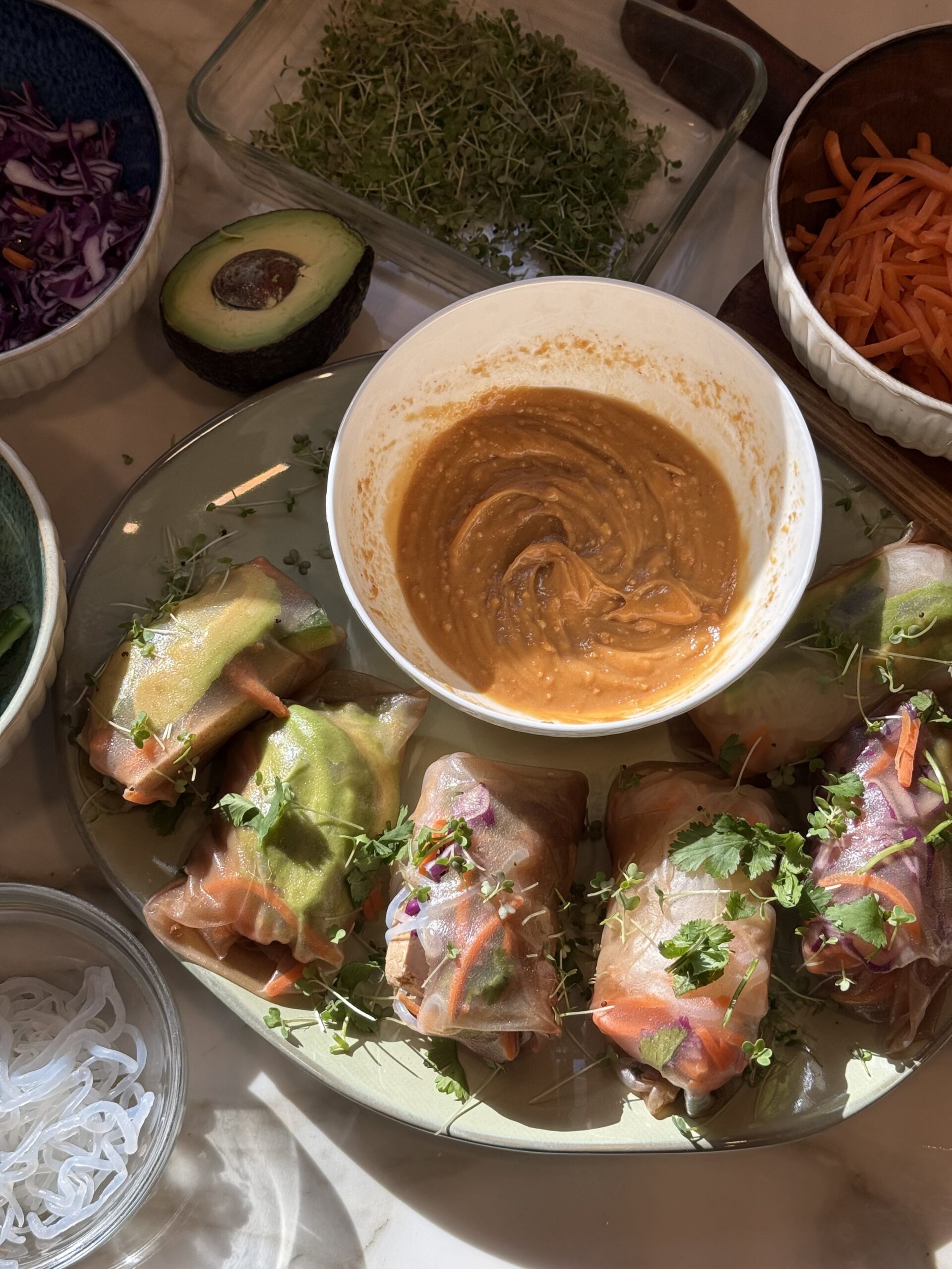 Rainbow Spring Rolls with Dipping Sauce