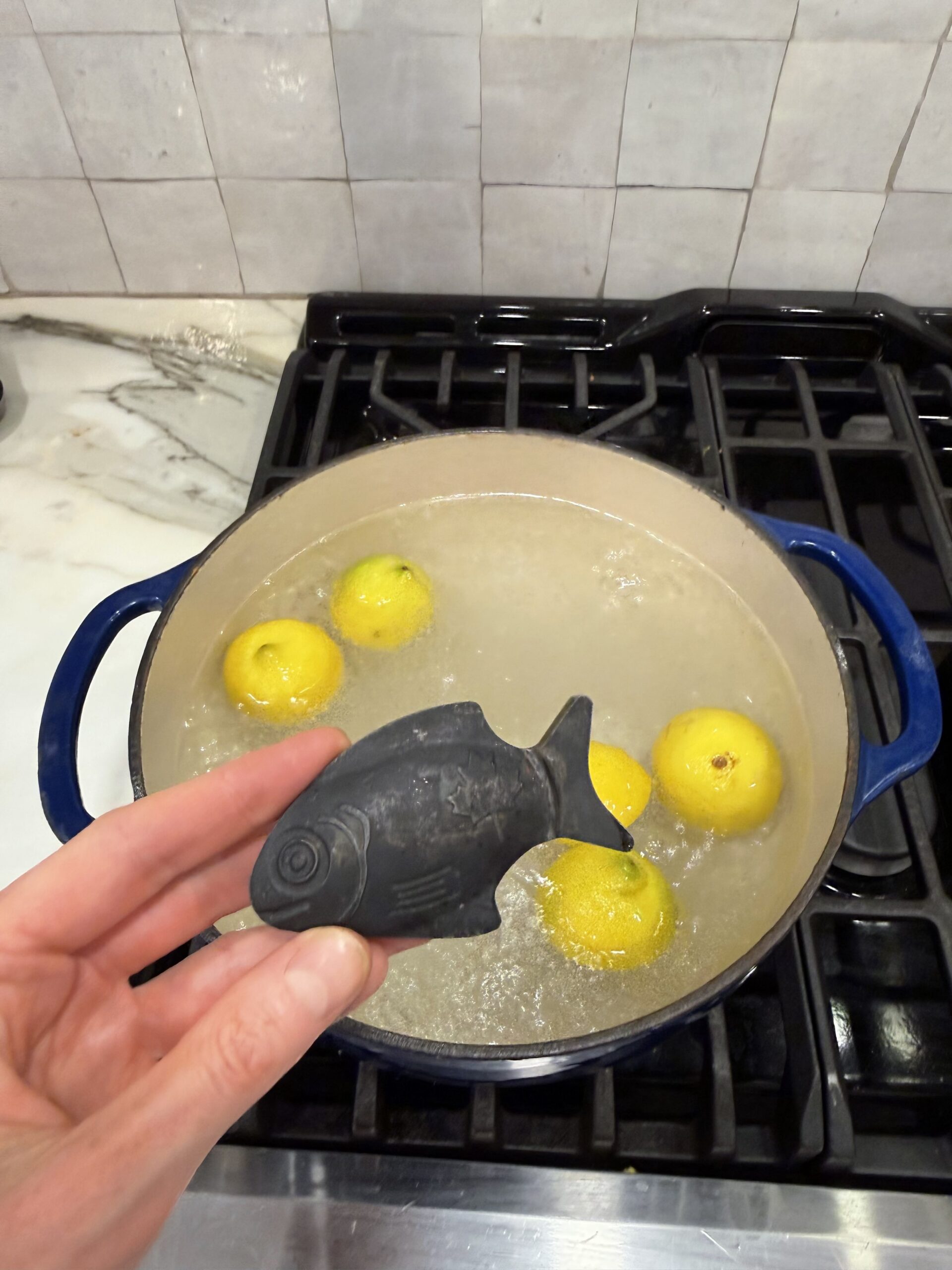 How I Raised My Ferritin: Absorption Tips, Tricks & My Favorite Iron Supplements